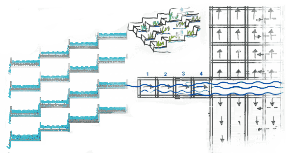 3D-BerechnungsMethode - Mensch - KugelCODE - PunkteSystem (Handel)