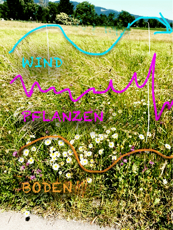 3D-BerechnungsMethode - Mensch - KugelCODE - PunkteSystem (Handel)